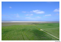 Westerhever
