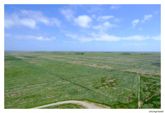 Westerhever