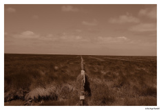 Westerhever