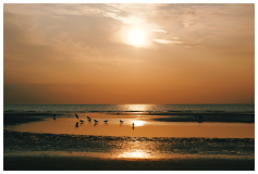 St. Peter Ording