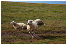 Leuchtfeuer Westerhever Sand