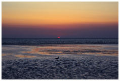 St Peter Ording