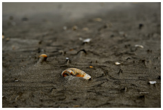 Strand St Peter Ording
