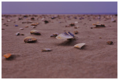 Strand St Peter Ording