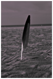 Strand St Peter Ording