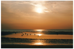 St. Peter Ording