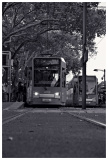 Neumarkt