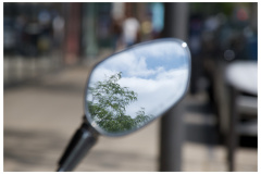 Spiegelungen