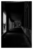 Urban Walk