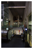 Urban Walk