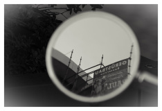 Urban Walk