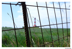 Westerhever
