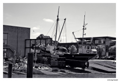 Husum 2026