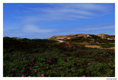Sylt 2026