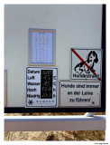 im Fokus von iPhone 16 Pro Max