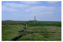 Westerhever