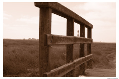 Westerhever