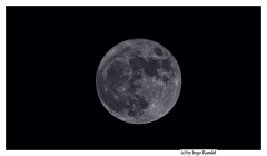 Moon (Blumenmond)