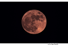 Moon (Blumenmond)