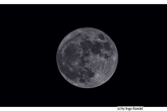 Moon (Blumenmond)