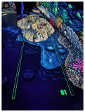 3D Minigolf