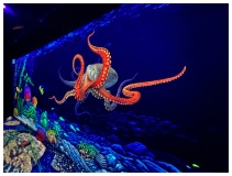 3D Minigolf