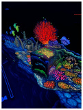 3D Minigolf