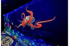 3D Minigolf
