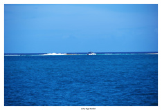 Nassau / Bahamas