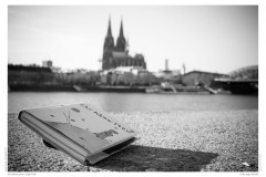 Der kleine prinz trifft Köln