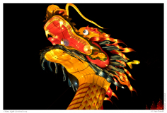 China Light Festival 2019