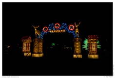 China Light Festival 2019