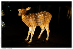 China Light Festival 2019