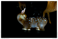 China Light Festival 2019