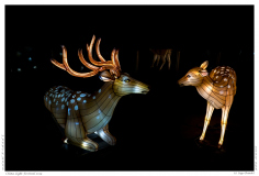 China Light Festival 2019