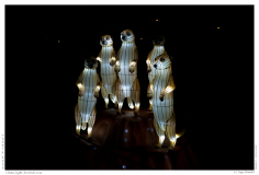 China Light Festival 2019