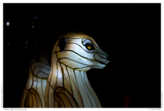 China Light Festival 2019