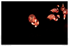 China Light Festival 2019