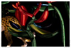 China Light Festival 2019