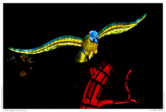 China Light Festival 2019