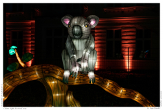 China Light Festival 2019