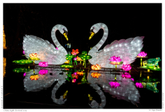China Light Festival 2019