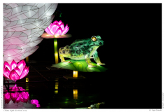 China Light Festival 2019