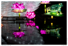 China Light Festival 2019