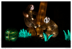 China Light Festival 2019