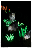 China Light Festival 2019