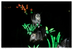 China Light Festival 2019