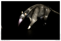 China Light Festival 2019