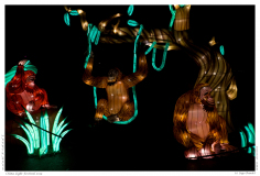 China Light Festival 2019