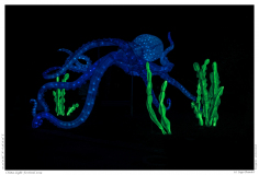 China Light Festival 2019